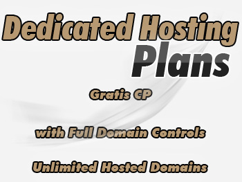 Half-priced dedicated hosting server services